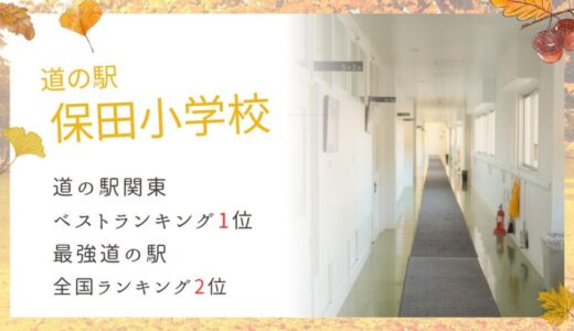 入浴も車中泊も！道の駅「保田小学校」の宿泊・食事・お土産を徹底解説