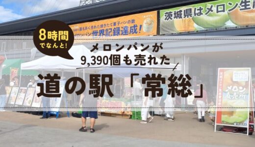 道の駅「常総」の芋けんぴは必食！おすすめお土産とメロンパンの魅力【車中泊もGood】